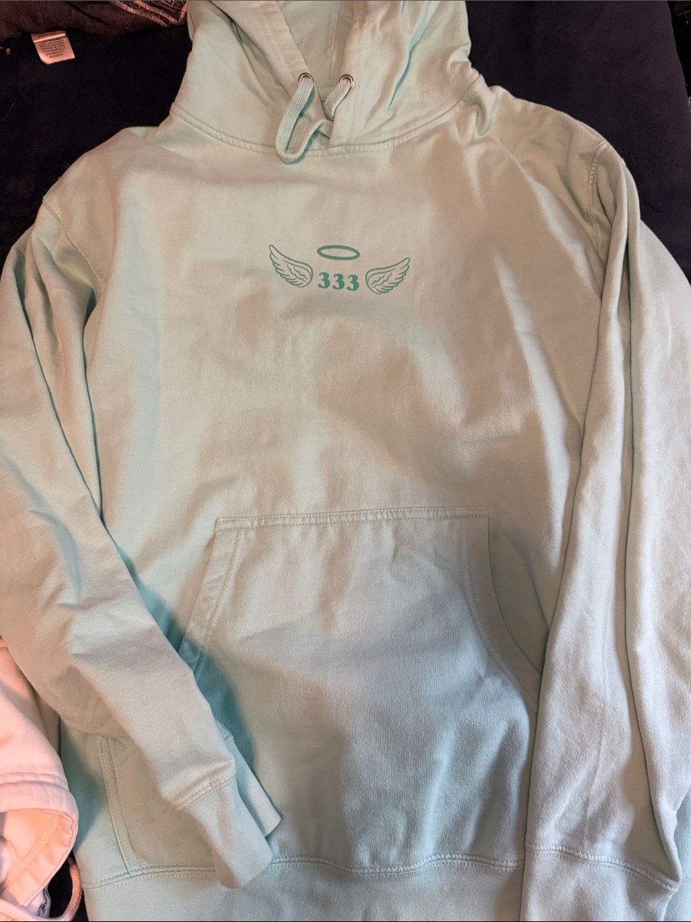 Toms Men's Light Mint Green Hoodie Sweater with 333 Wing Graphic
